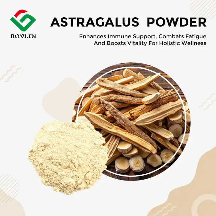Astragalus Extract Powder